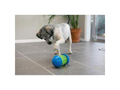 KONG SPIN IT S 16x9Ø CM
