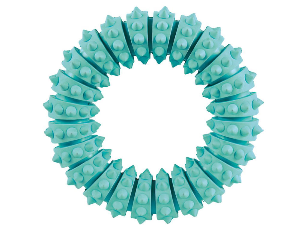 DENTAfun ring m. mint Ø12,5 cm