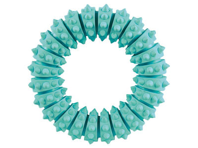 DENTAfun ring m. mint Ø12,5 cm