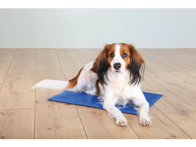 Kølemåtte, 40 × 30 cm, blå