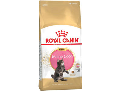 Royal Canin Maine Coon Kitten 4 kg – Killingefoder til Maine Coon killinger