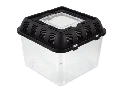 "fauna box" 20,5x20,5x17cm