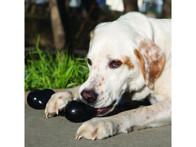 Kong extreme goddiebone L 22x8x5CM