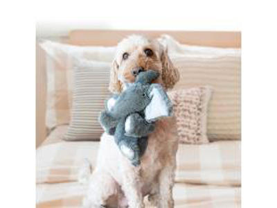 KONG COMFORT KIDDOS ELEPHANT S 18x12x12CM
