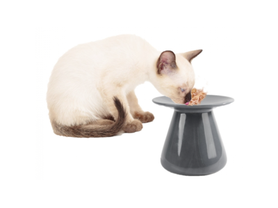 Hævet madbakke til vådfoder