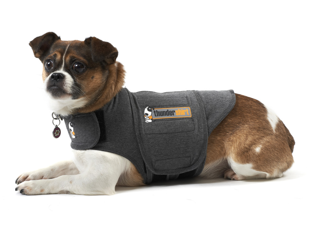 thundershirt xl