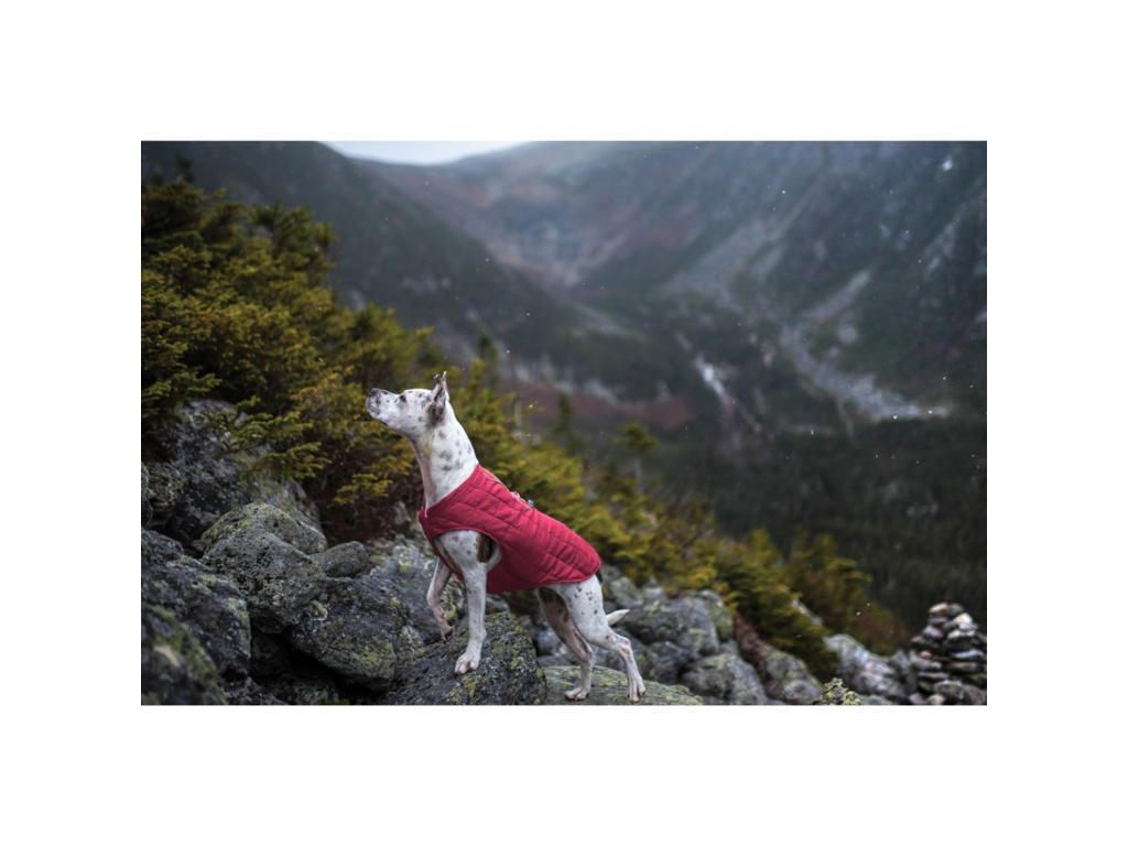 Kurgo loft frakke - rød/grå - L