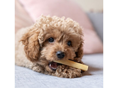Yaki Peanutbutter S 30-35 g – Proteinrig Vegetarisk Tyggepind til Hunde