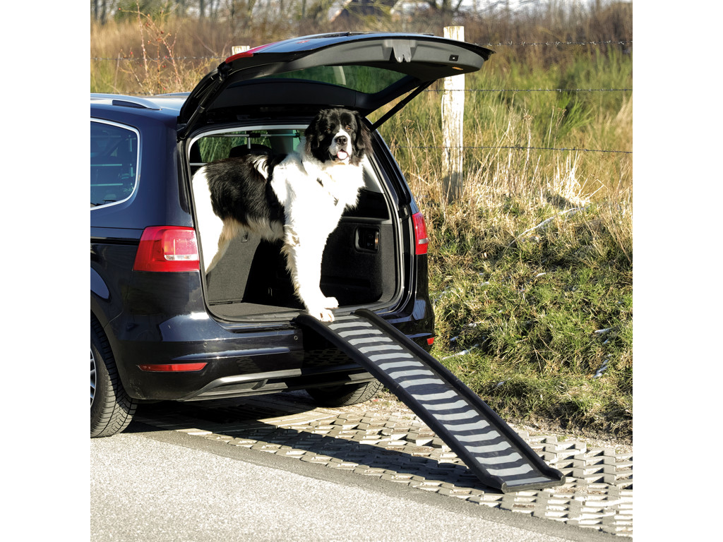 Pet ramp, 39x160 cm