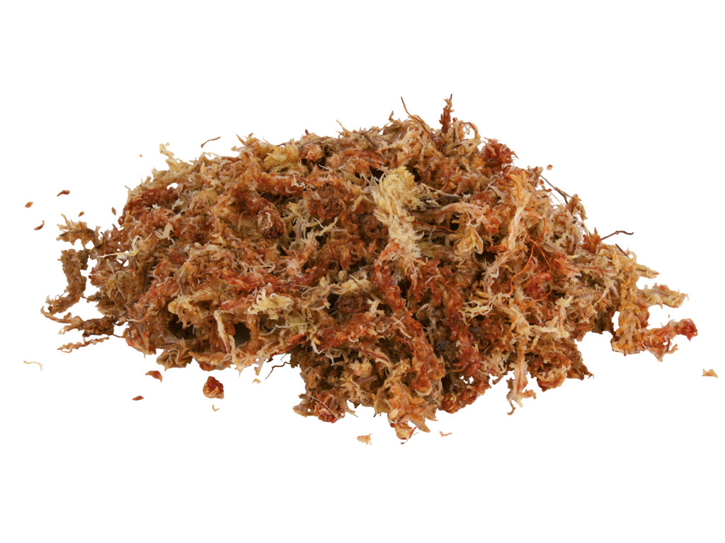 Trixie Terrarium moss 4.5 l