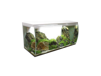 Fluval flex akvarir 123L hvid 82 X 39 X 40cm