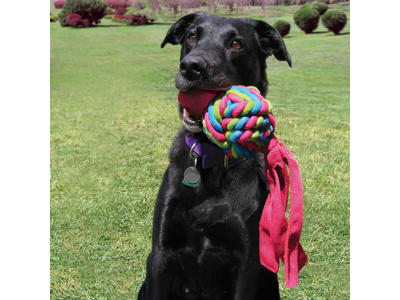 Kong wubba weaves S. mix 21x6,5x6CM