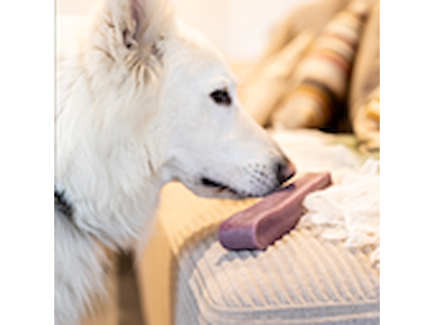 Yaki Blåbær GIGANT 230-260 g – Proteinrig Vegetarisk Tyggepind til Hunde