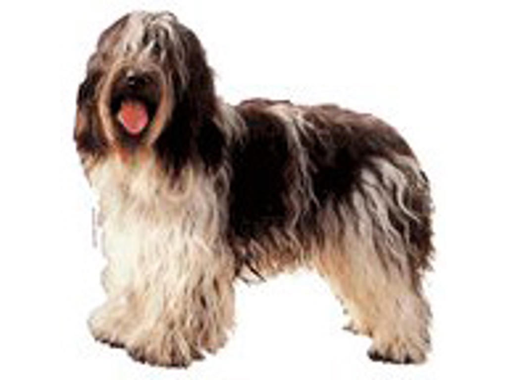 KW SCHAPENDOES 7 CM / 4 STK