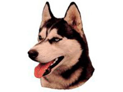 KW SIBERIAN HUSKY 8 CM / 4 STK