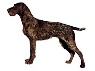 KW TYSK RUHÅR  14 CM / 2 STK