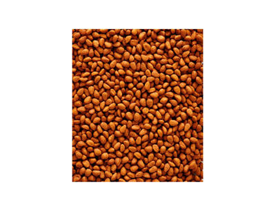 Nutribird G18 original 10kg