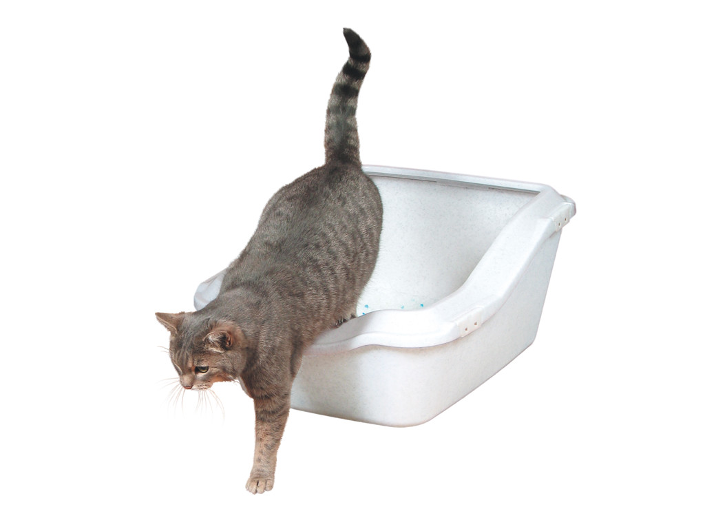 Cleany Cat bakke m.rem gran