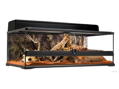 ExoTerra terrarium 90 x 45 x 30 cm.