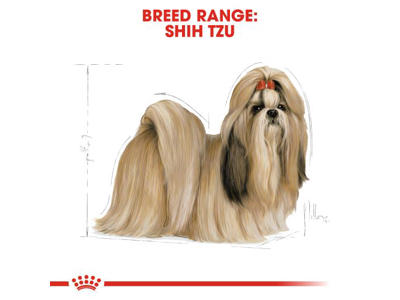 BHN Shih Tzu 7,5 KG