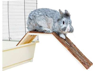 Bro til/fra bur marsvin/kanin