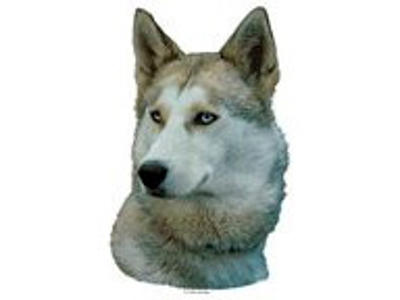 KW SIBERIAN HUSKY GRÅ 7 CM / 4 STK