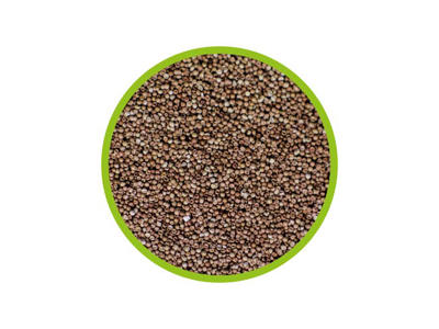 HOBBY ARTEMIA ÆG 20 ML / 10 G