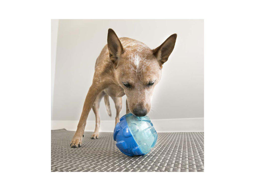 Kong belønningsbold L 12 Ø CM