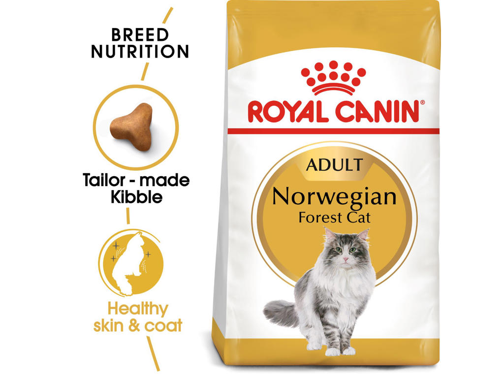Royal Canin Norwegian Forest Cat 10 kg – Tørfoder til voksne norske skovkatte