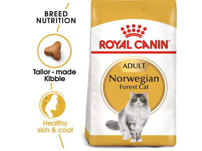 Royal Canin Norwegian Forest Cat 10 kg – Tørfoder til voksne norske skovkatte
